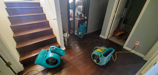 Best Flood damage cleanup  in Sumas, WA