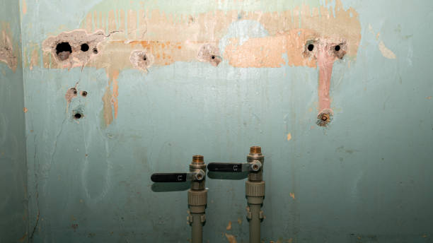 Best Commercial water damage restoration  in Sumas, WA