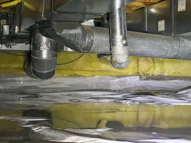 Best Water damage restoration company  in Sumas, WA
