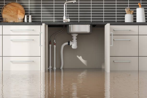 Best Water damage contractors near me  in Sumas, WA