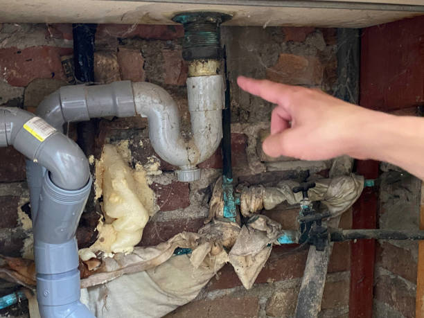 Best Professional water damage repair  in Sumas, WA