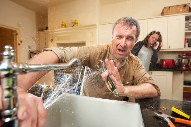 Best Local water damage restoration  in Sumas, WA